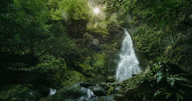 Park Resort Mtirala National Park Chakvistavi Екстер'єр фото